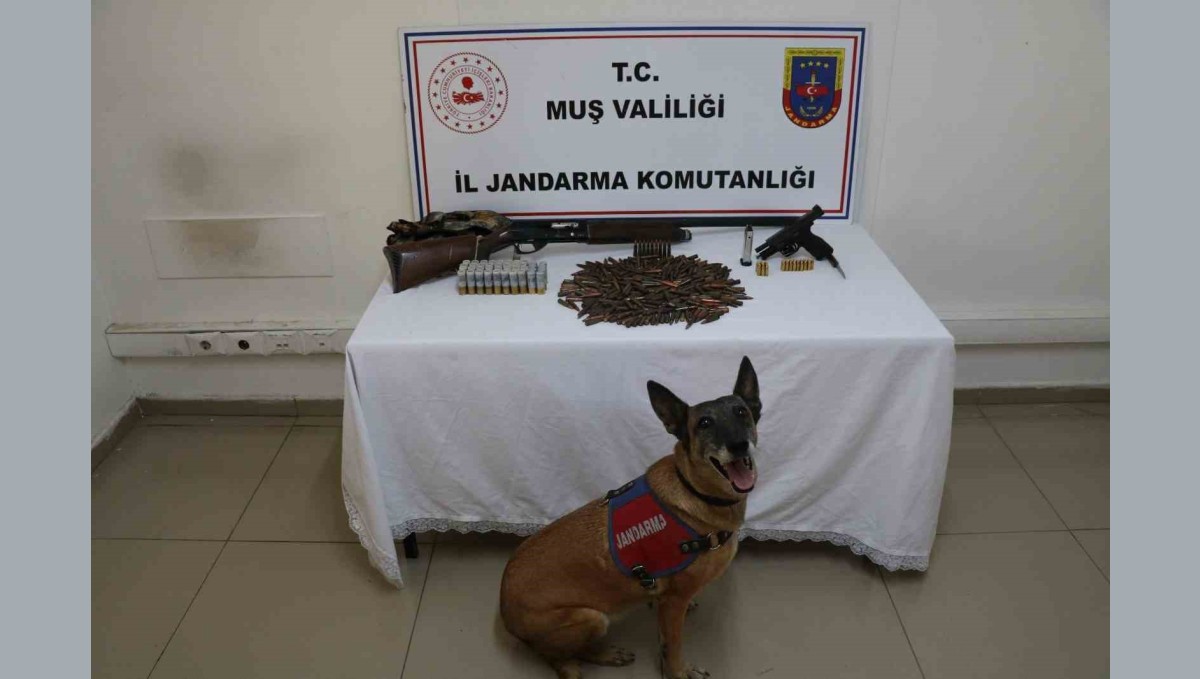 Muş'ta tezek yığınının altından silah ve mühimmat çıktı