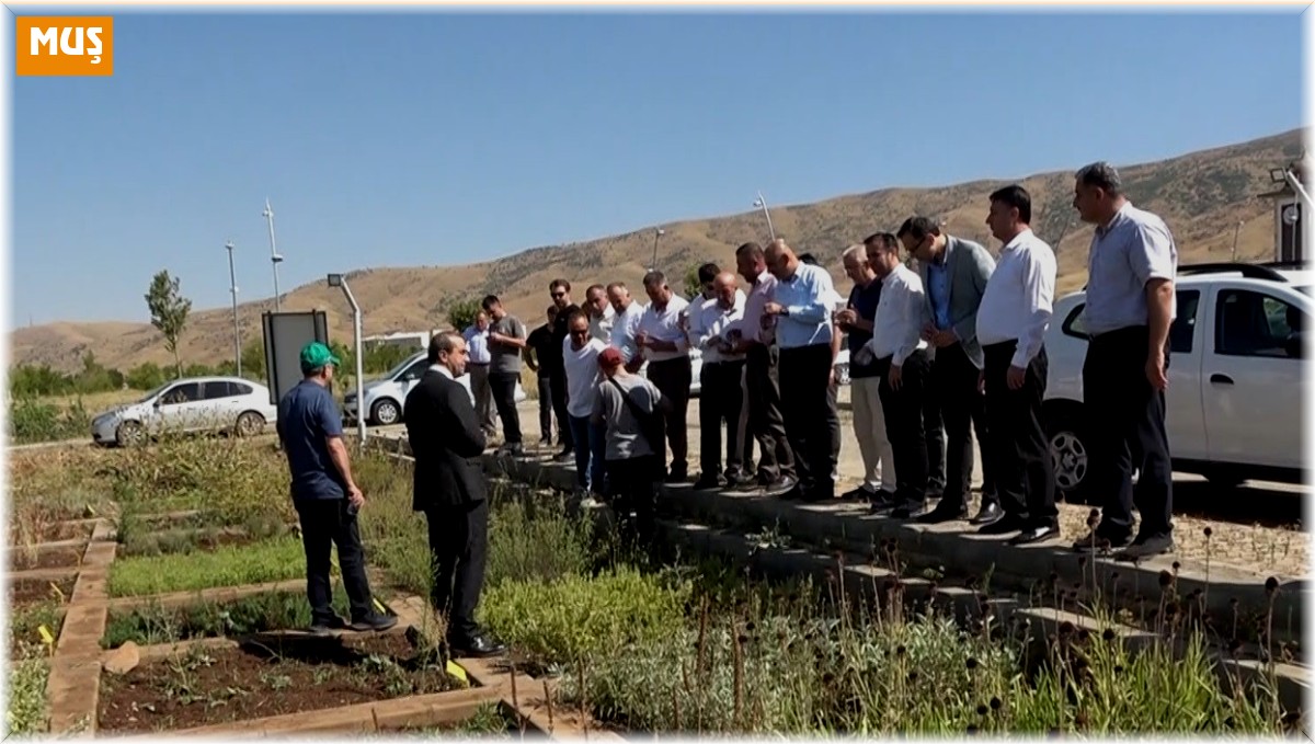 Muş'ta tıbbi ve aromatik bitkiler tanıtıldı
