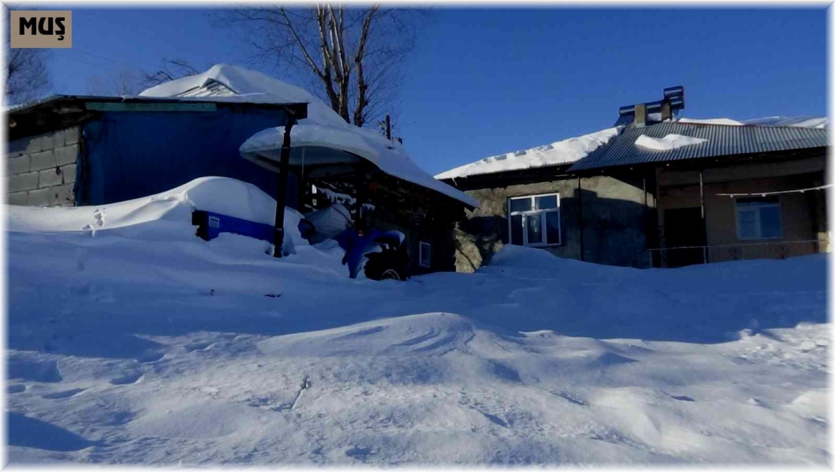 Muş'ta tipinin yaşandığı köyde hayat 2 gün durdu