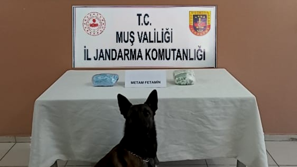 Muş'ta uyuşturucu operasyonu: 1 tutuklama