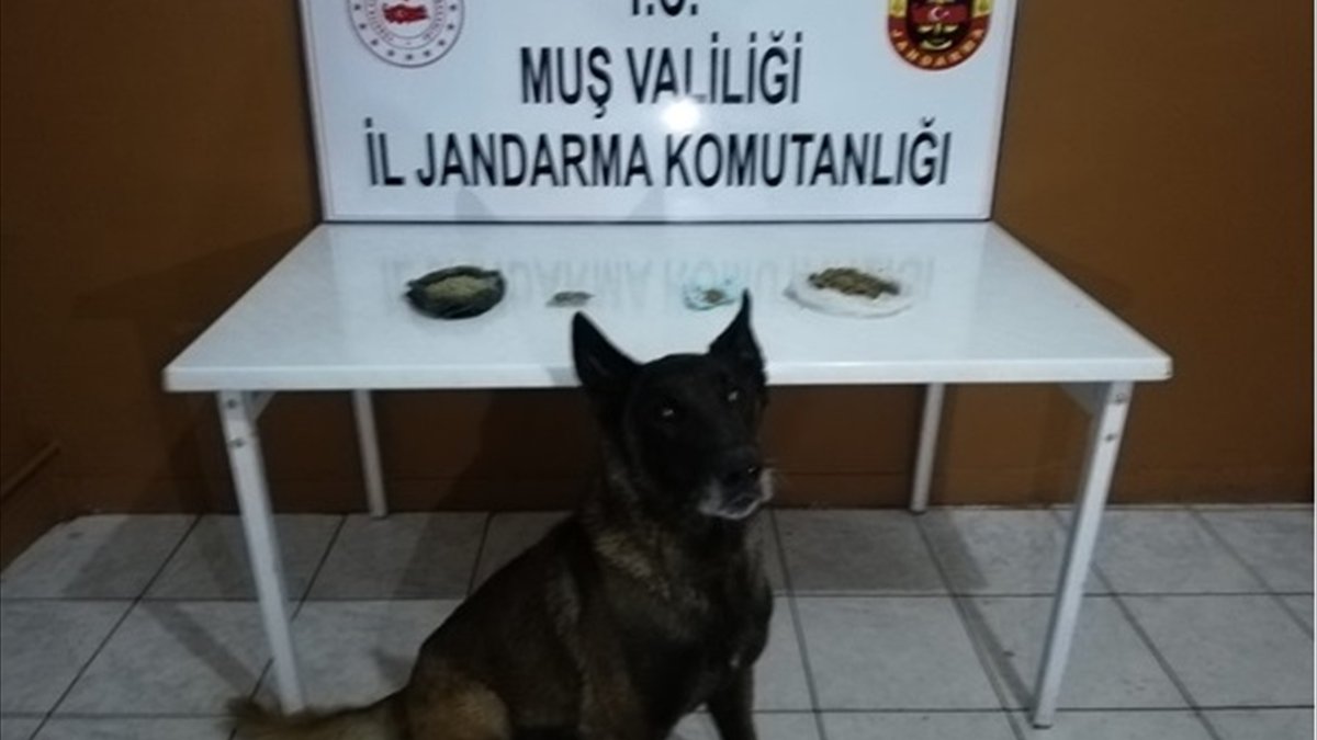 Muş'ta uyuşturucu operasyonu