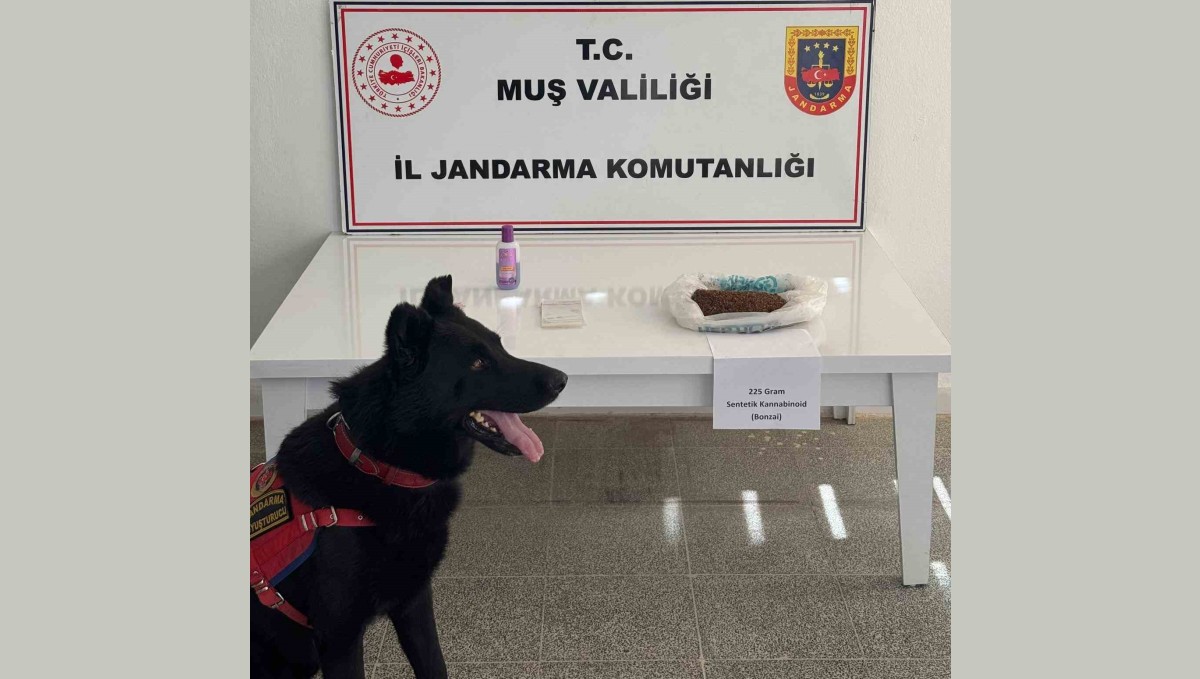 Muş'ta uyuşturucu operasyonu: 2 gözaltı