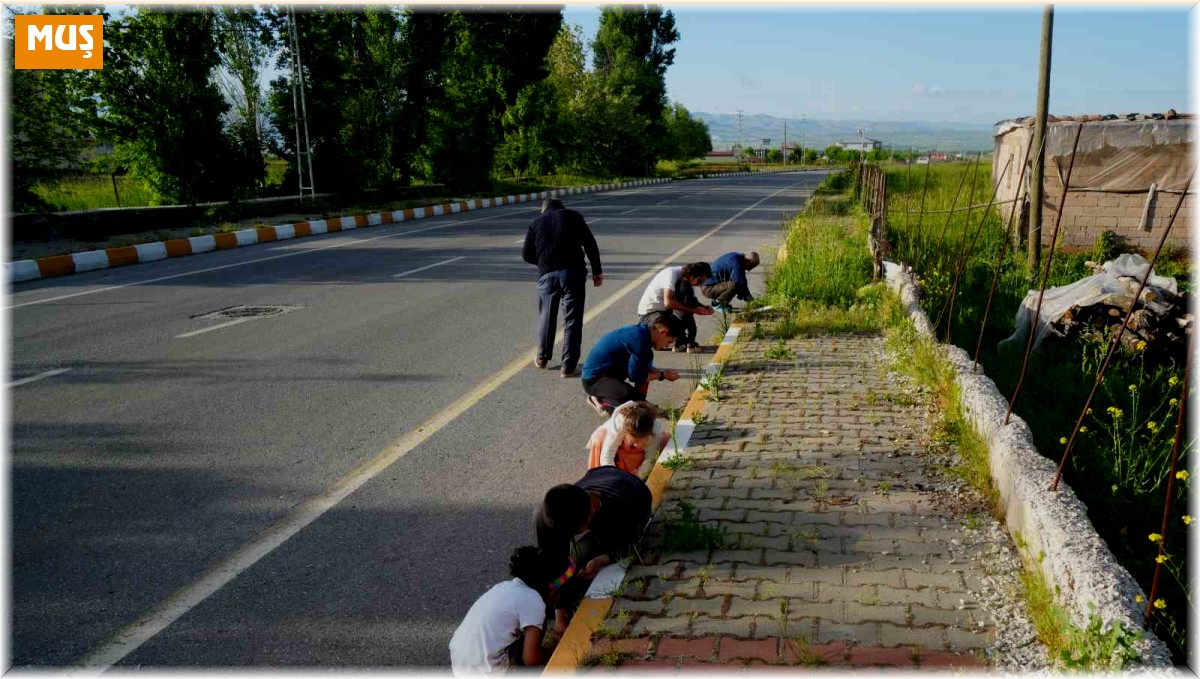 Muş'ta yağan bilinmeyen cisimler şaşırttı