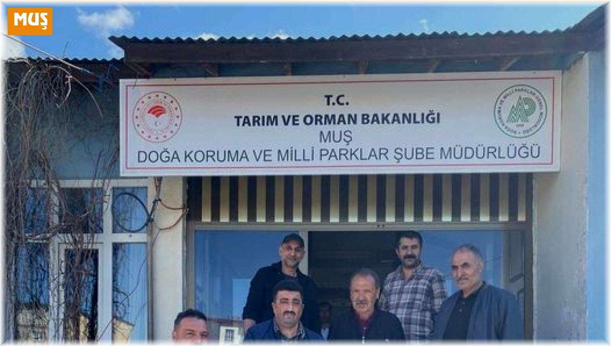 Muş'ta yaralı halde bulunan kartal ekiplere teslim edildi