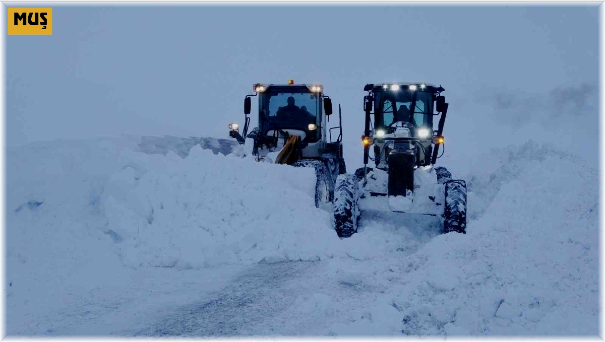 Muş'ta yılın 5 ayı metrelerce karla mücadele edilirken, İstanbul'un 40 santimetrelik karı çileye döndü