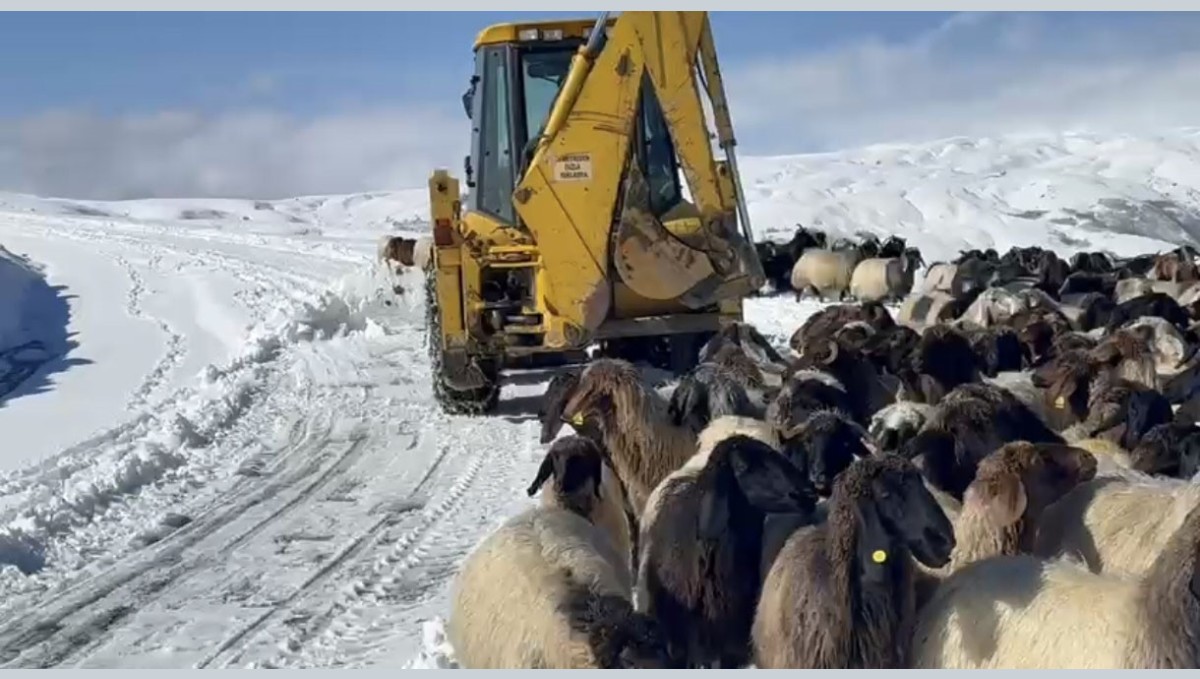 Muş'ta yoğun kar yağışı