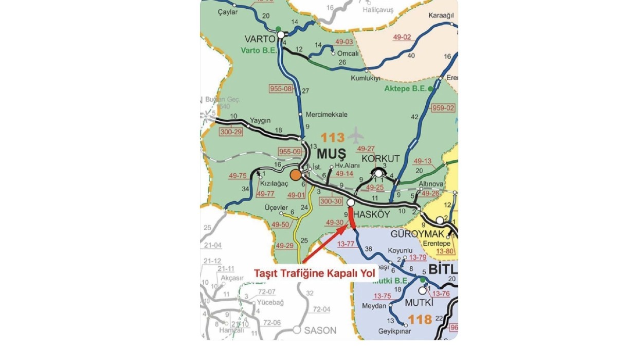 Muş'ta yoğun kar yağışı: Hasköy-Mutki yolu ulaşıma kapandı