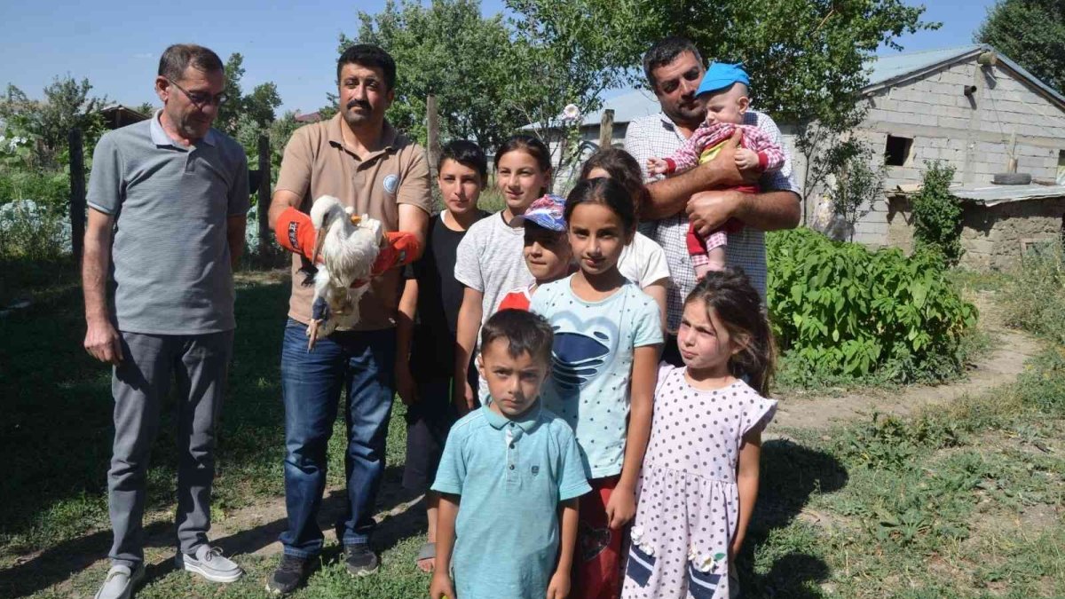Muş'ta yuvadan düşen leylek yavrusu tedaviye alındı
