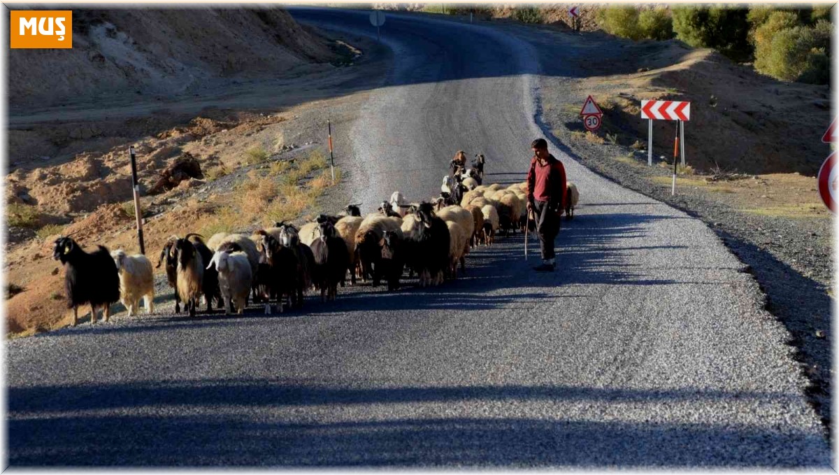 Muş'taki göçerler sıcak bölgelere göç etmeye başladı
