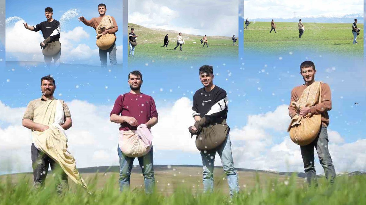 Muş'un Kırköy beldesinde çiftçiler el birliğiyle tarlalara gübre serpti, Islak arazide işler imeceyle hızlandı