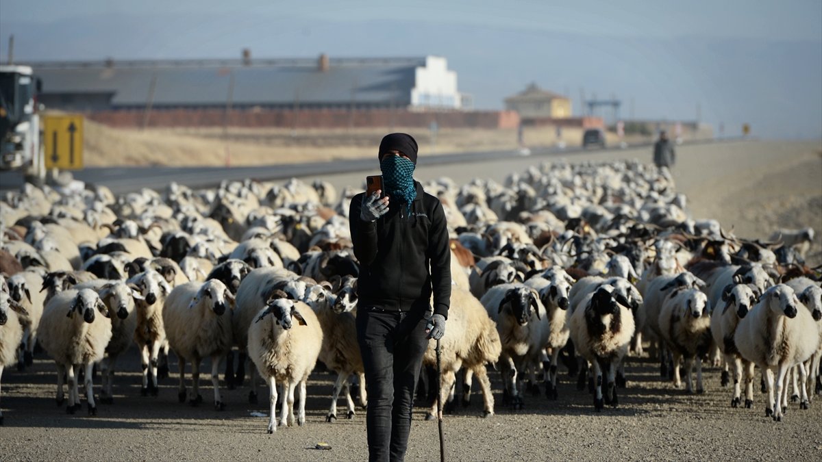Muş'un yaylalarından yürüyerek Şanlıurfa'ya dönen göçerler yolu yarıladı