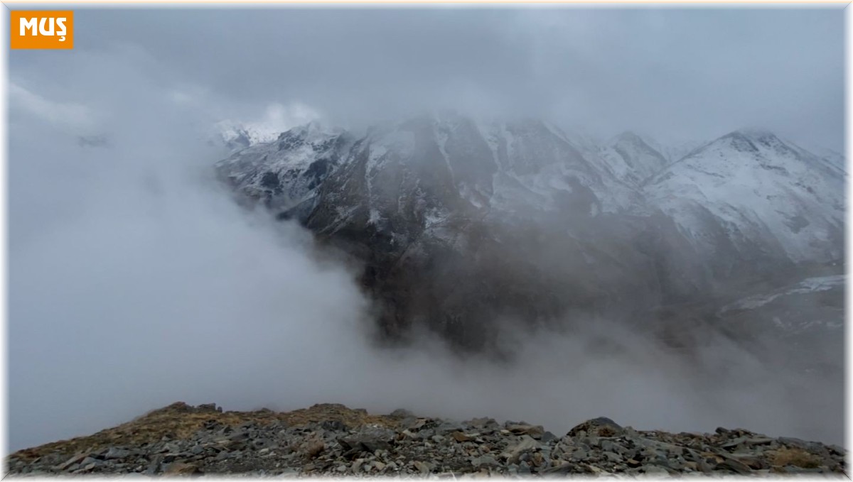 Muş'un yüksek kesimlerinde kar ve sis etkili oldu