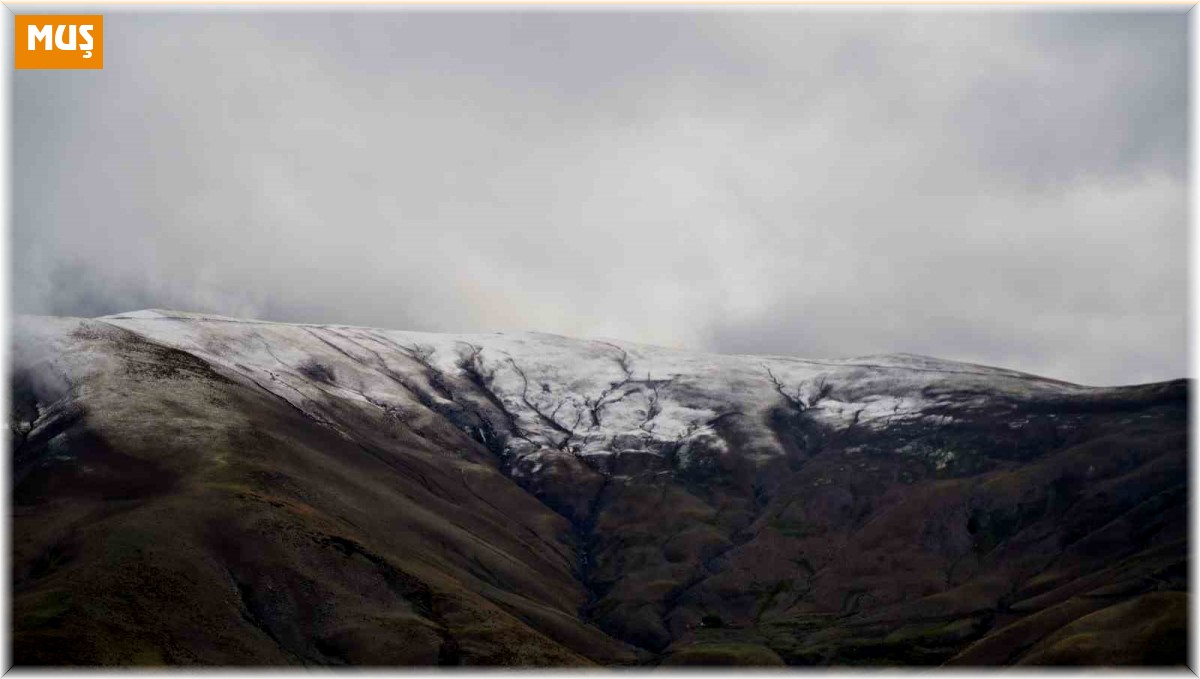 Muş'un yüksek kesimlerine mevsimin ilk karı yağdı