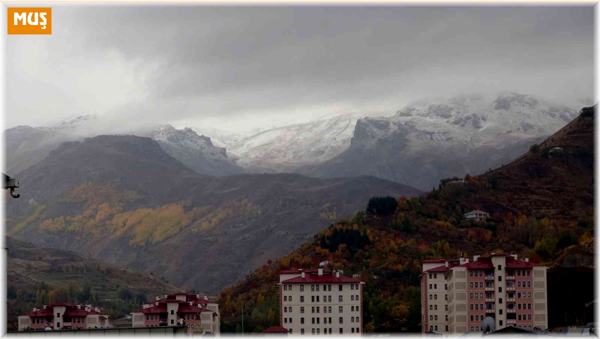Muş'un yüksek kesimlerine mevsimin ilk karı yağdı