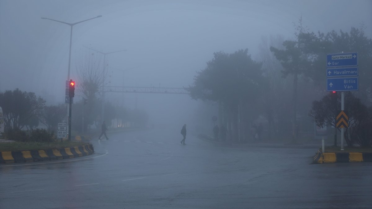 Muş ve Hakkari'de sis etkili oldu
