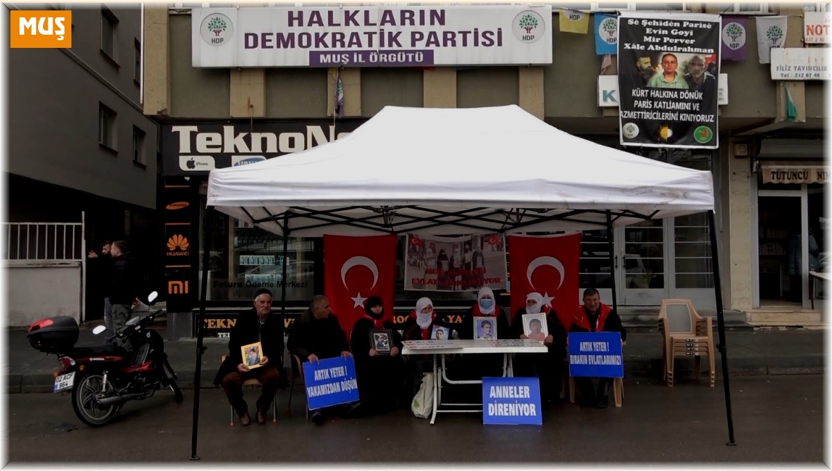 Muşlu anneler eylemlerine devam etti