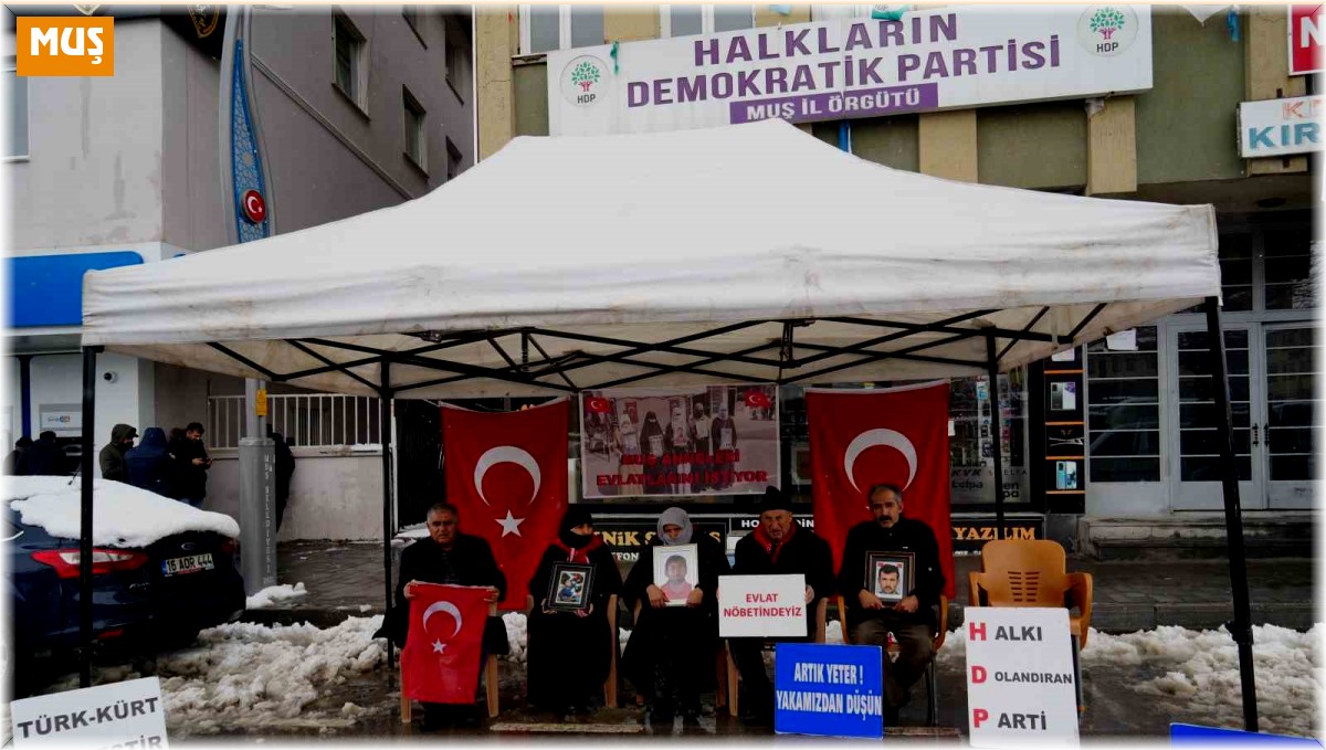 Muşlu annelerin evlat nöbeti devam ediyor