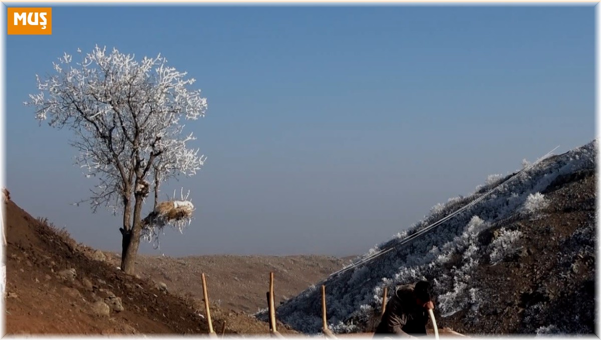 Muşlu genç kızak yaparak geçimini sağlıyor