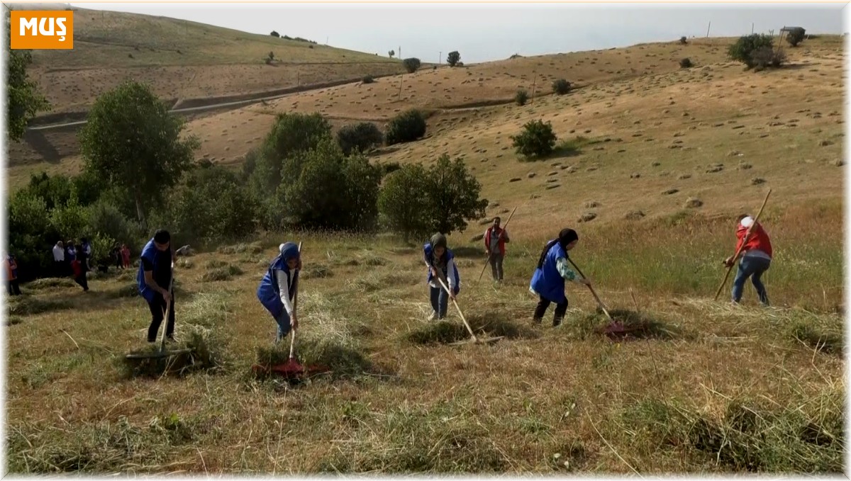 Muşlu gençler, hastası olan yaşlı adamın otunu biçti