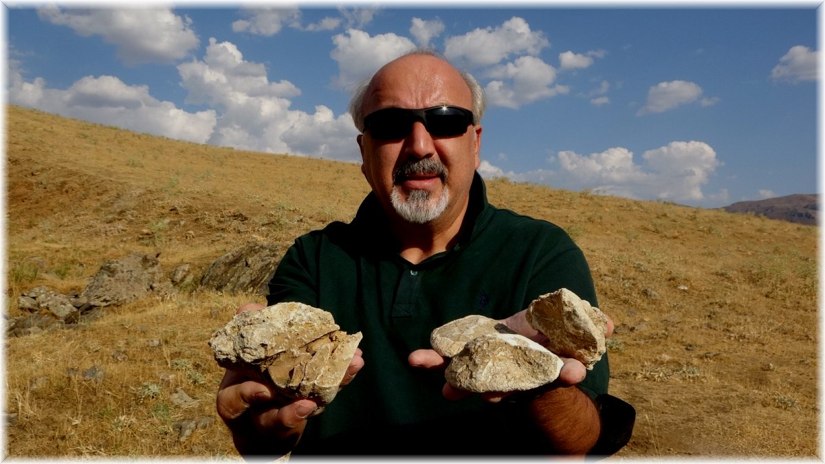 Muş’ta 35 milyon yıllık deniz canlıları fosili bulundu