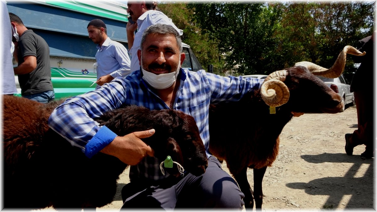 Muş’ta çiftçilere devlet destekli koç dağıtımı yapıldı