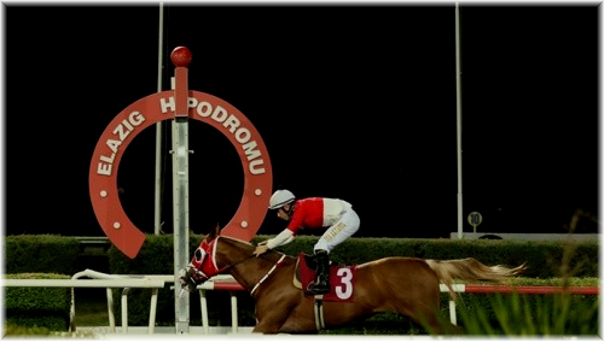 Mustafa Ergin Koşusu'nu, Oğlum Kayra kazandı