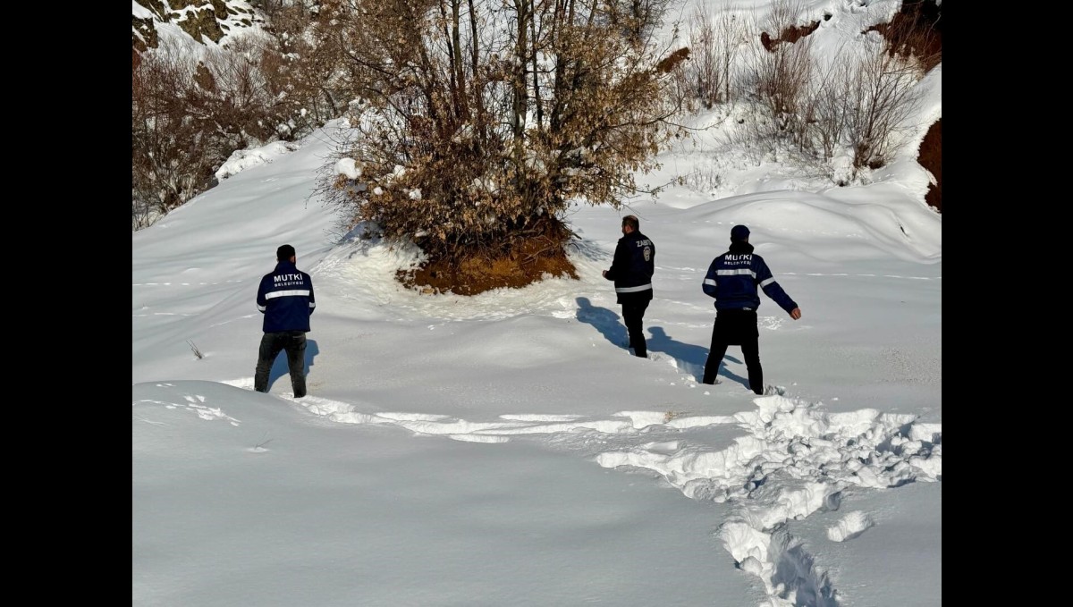 Mutki Belediyesi zorlu kış şartlarında yaban hayatını unutmadı