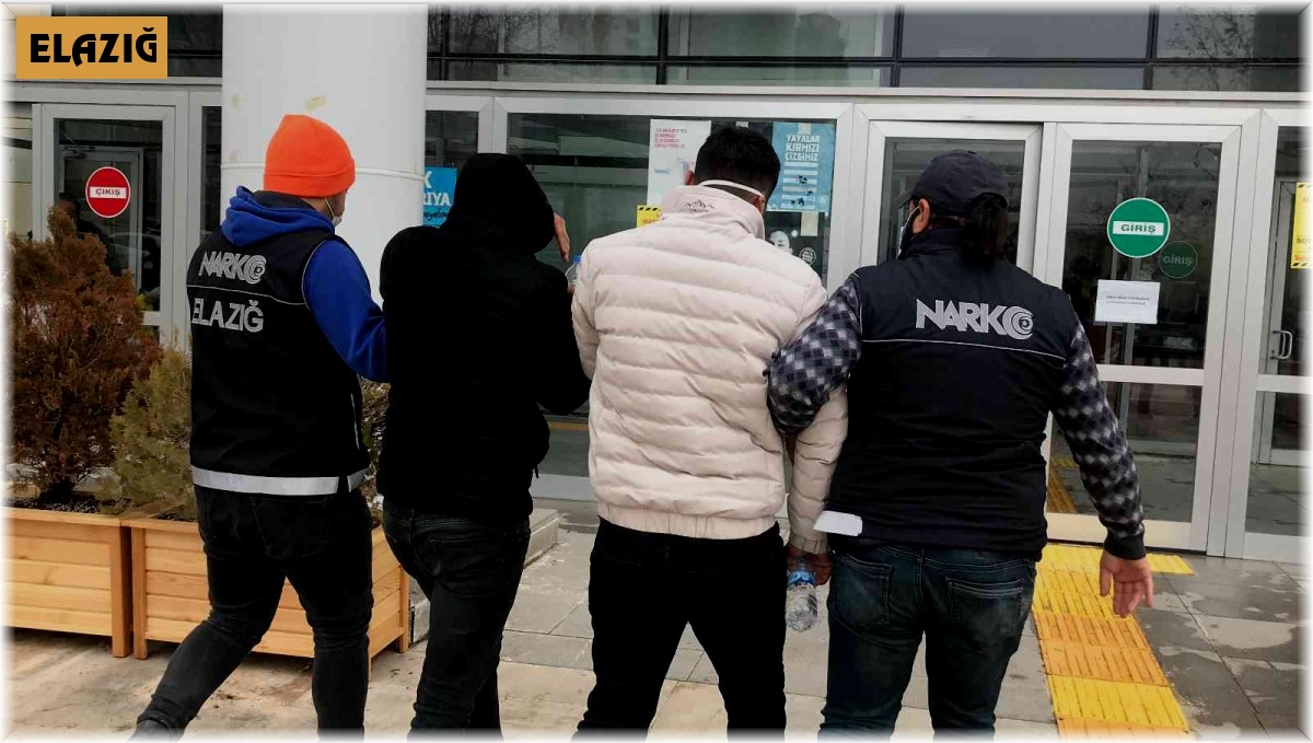 Narkotik köpeği 'Alex' uyuşturucuya geçit vermedi: 2 gözaltı