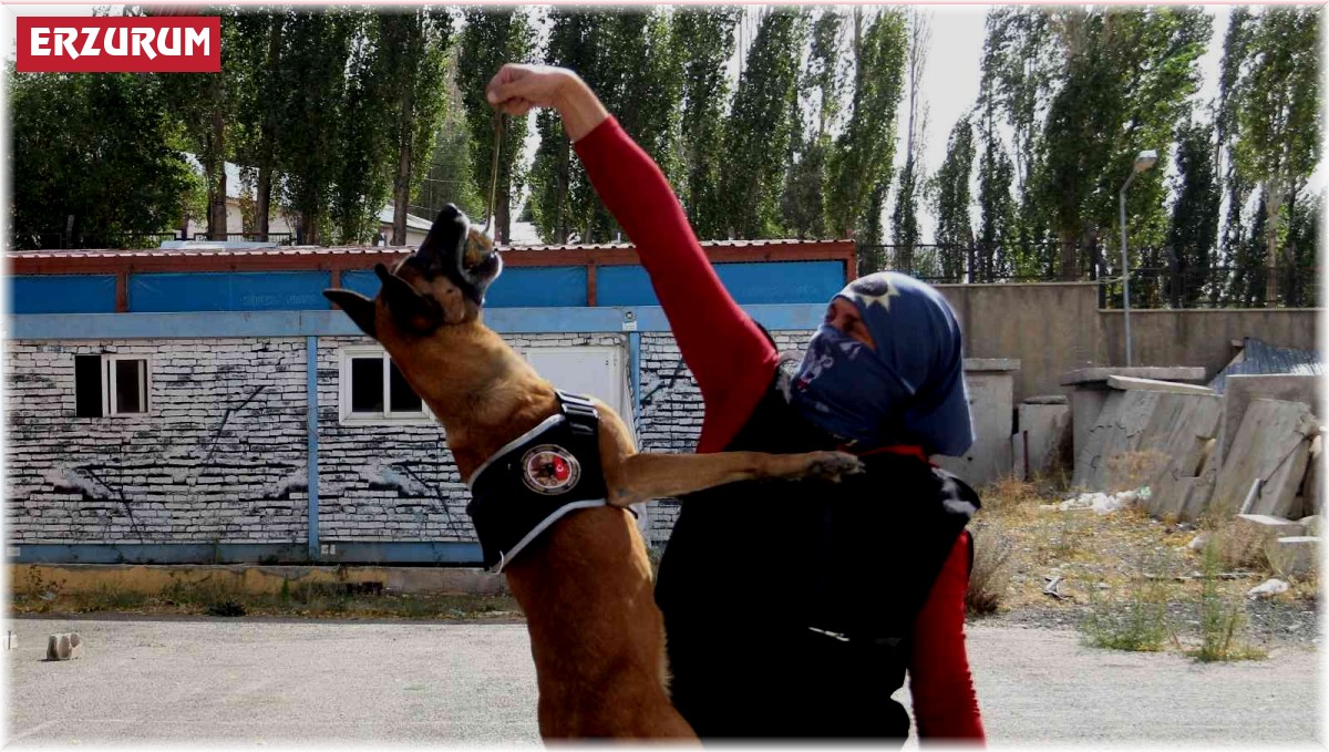 Narkotik köpeği Eris, Erzurum'da uyuşturucuya geçit vermiyor