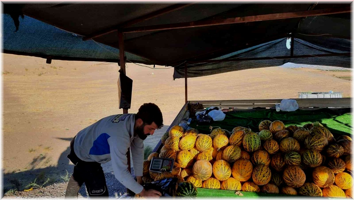 Narmikan kavununda hasat başladı
