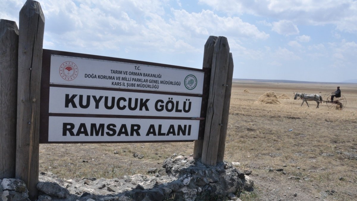 Ne bir damla su ne de kuş kaldı