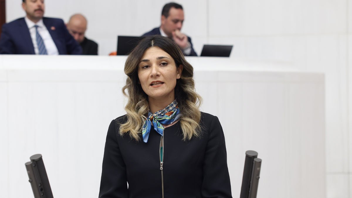 Nejla Demir, TMO’daki alım sorunları için Meclis’e araştırma önergesi verdi