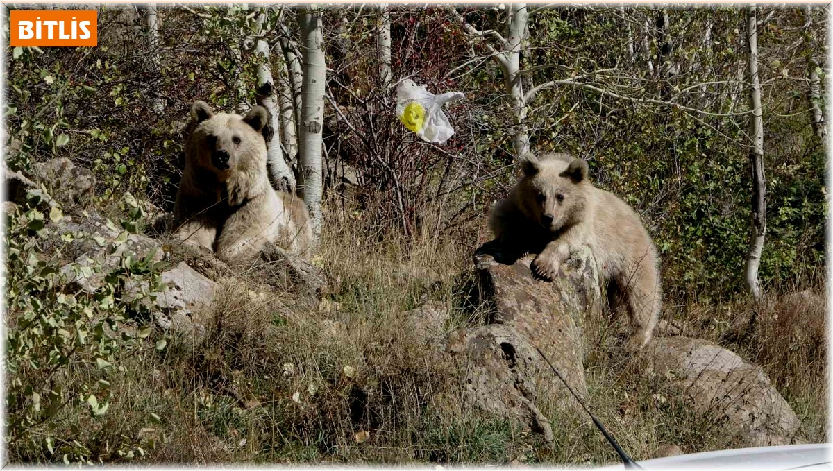 Nemrut Kalderası kış sezonu boyunca ziyarete kapatıldı