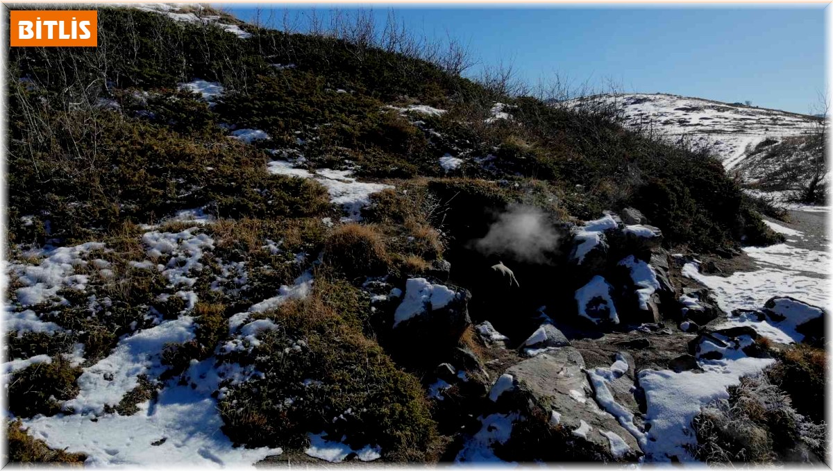 Nemrut'un yazın kuruyan 'Buhar Bacaları' kışın yeniden aktifleşti