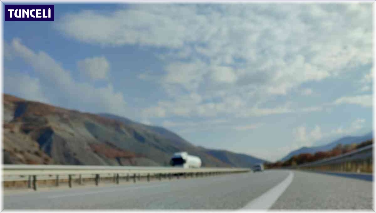 Nesli tükenme tehdidi altındaki samur, kaza kurbanı