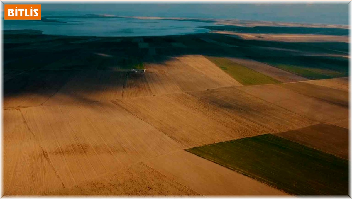 Nesli tükenmekte olan Toy kuşu dron ile görüntülendi