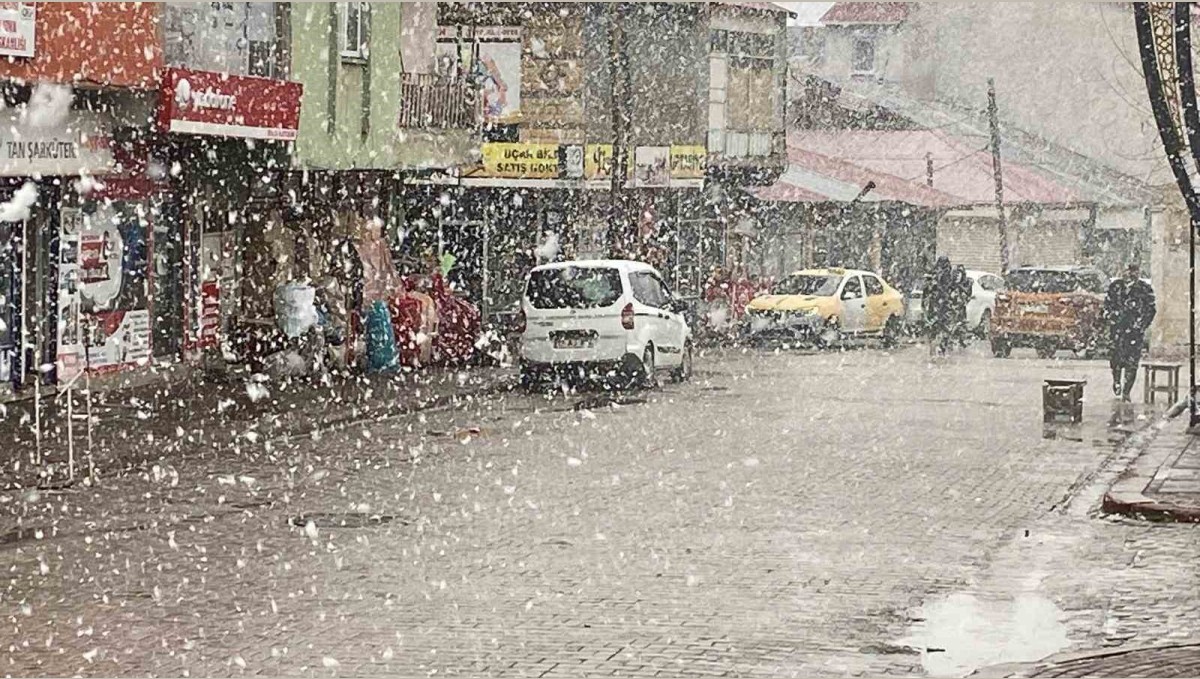 Nisan ayında Bingöl'de lapa lapa kar sürprizi