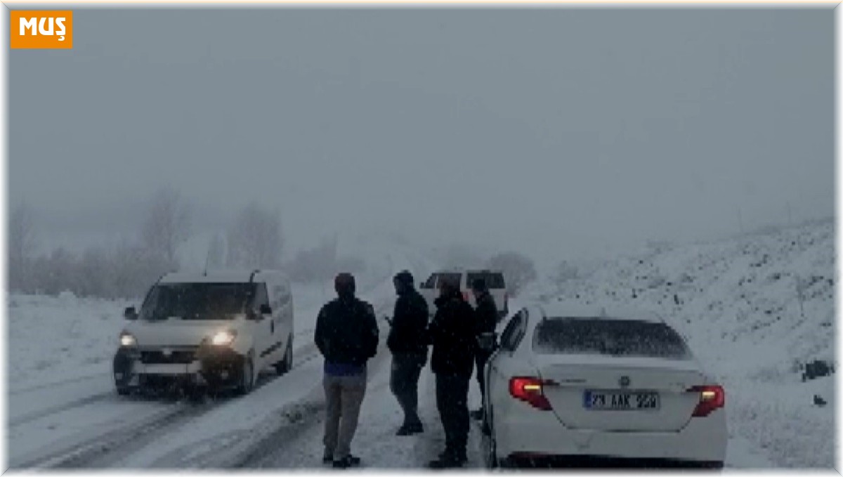 Nisan ayında yağan kar hayatı olumsuz etkiledi