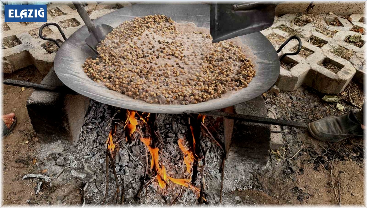 Nohudun 200 derecelik meşe ateşinde başlayan yolculuğu