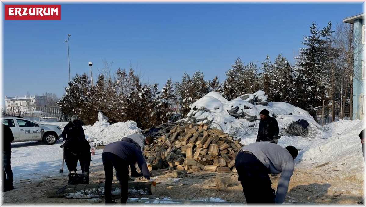 Odun direkler yakacak oldu