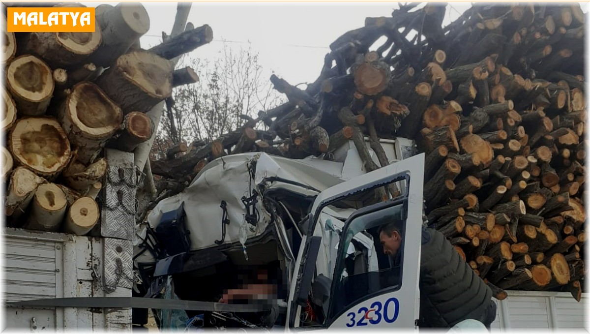Odun yüklü iki kamyon çarpıştı: 1 yaralı