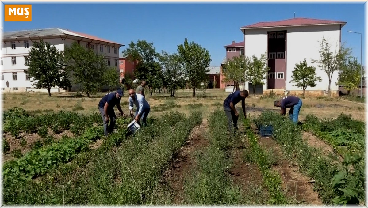 Öğrenciler, atıl durumdaki alanı tarıma kazandırdı