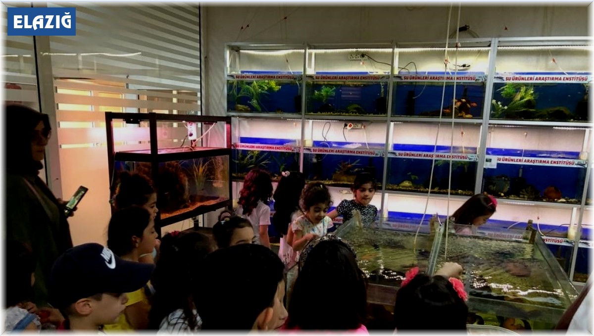 Öğrenciler balık müzesini gezdi