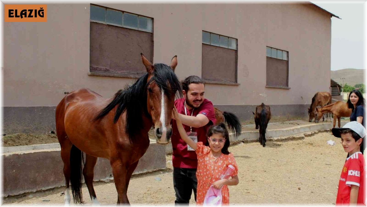 Öğrenciler TAHAM'da keyifli dakikalar geçirdi