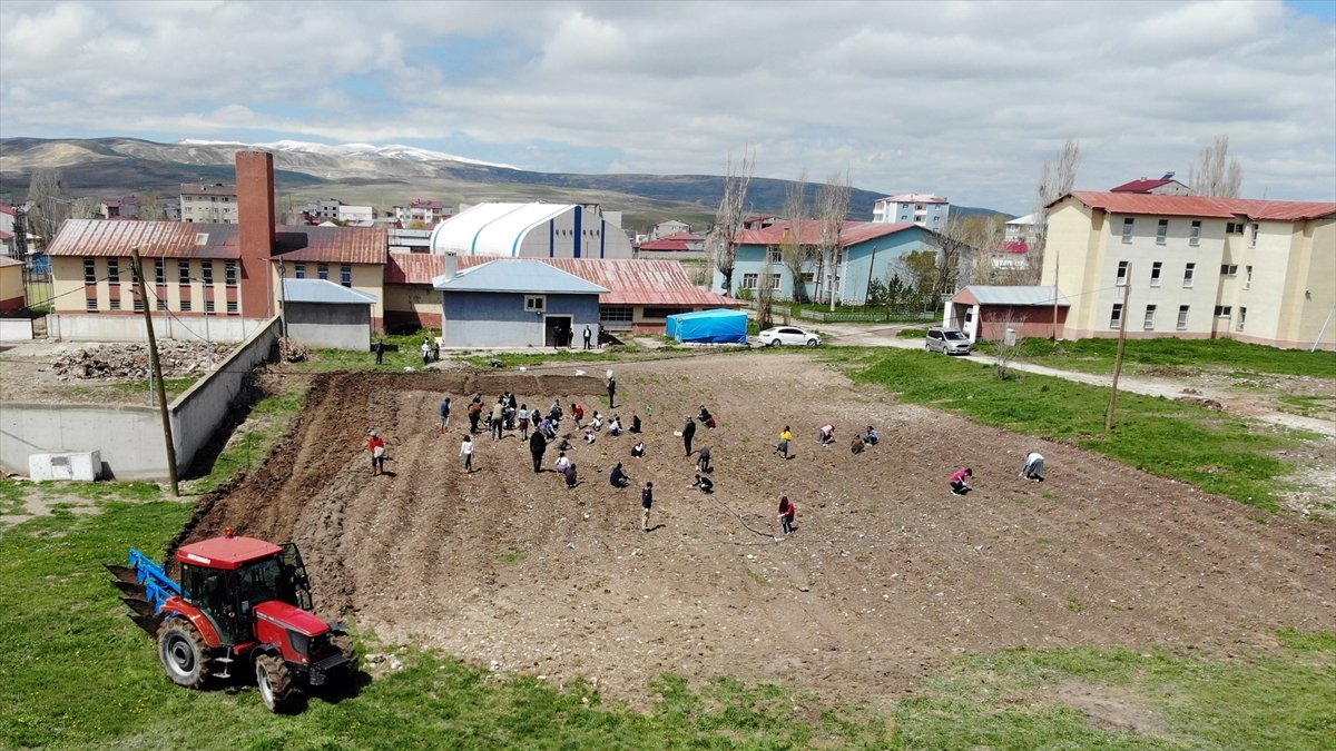 Öğrencilere tarımı öğretmek için Ağrı'da okul arazileri bostana dönüştürülüyor