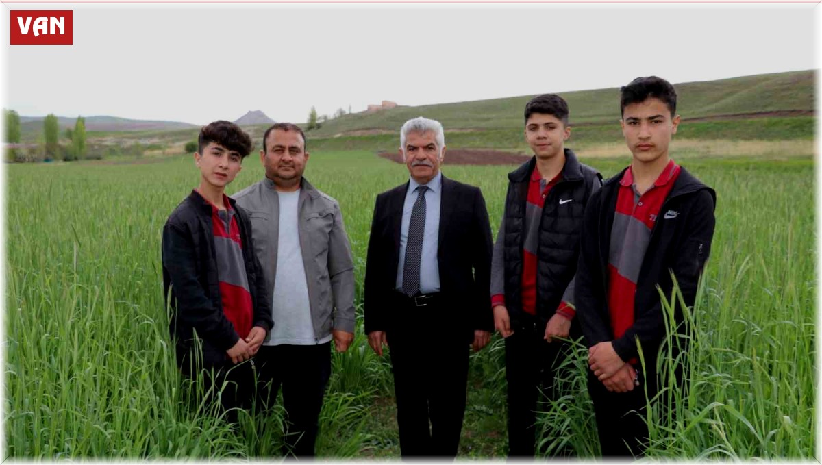 Öğrencilerin ektiği 'ata tohumu' boy verdi