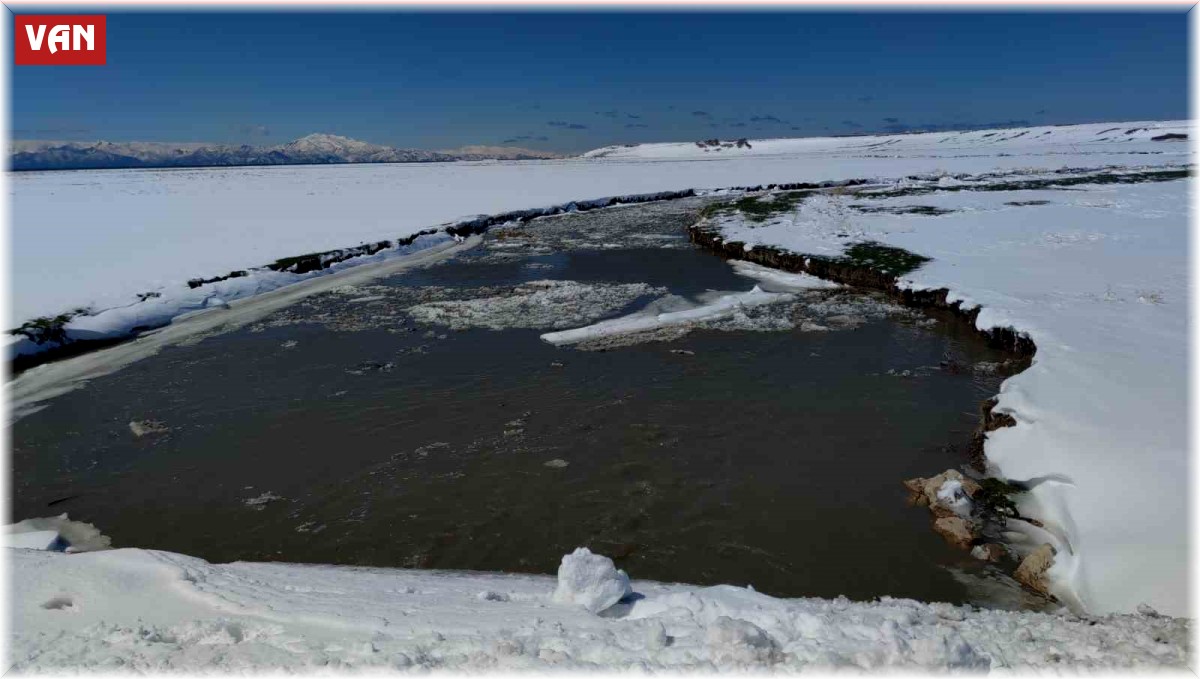 Öğretim Üyesi Akkuş: "Bugünlerde yağan karın kuraklığı bir nebze olsun hafifletmesini ümit ediyoruz"
