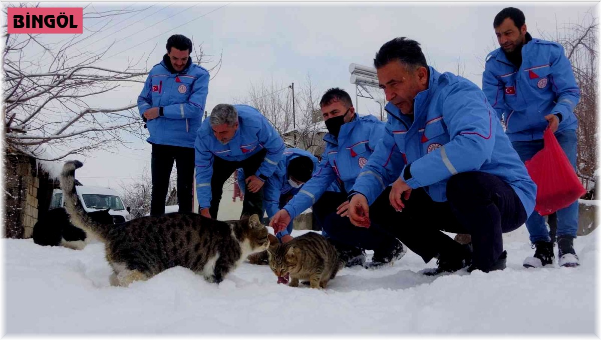 Öğretmenler, kış günlerinde yürekleri ısıttı