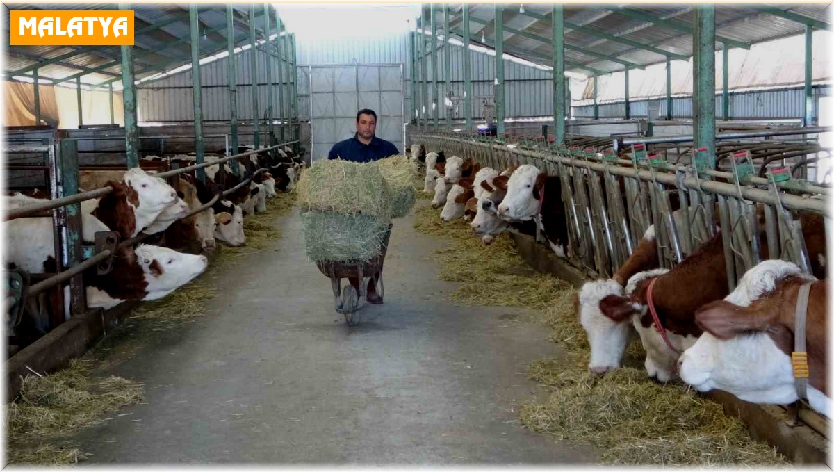 Öğretmenlik hayalini bıraktı çiftlik kurdu