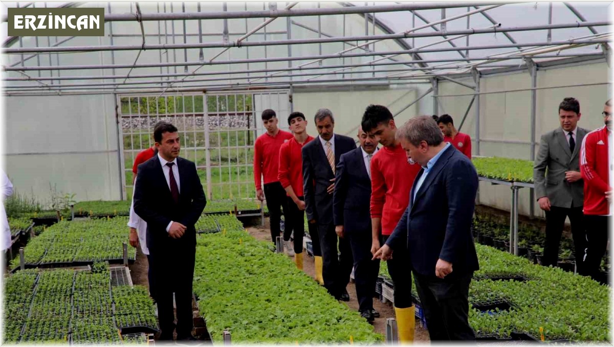 Okul bahçesindeki serada organik sebzeler yetiştiriyor